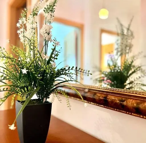 T2 Com Vista Panoramica Sobre A Costa Apartment